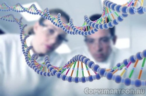 Эволюцию генома человека
